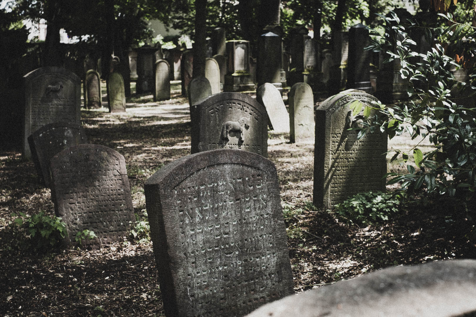 Hanau, Jüdischer Friedhof